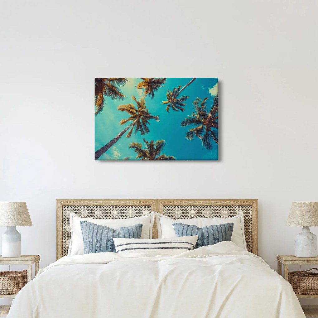 Obraz - Vysoké palmy (90x60 cm)