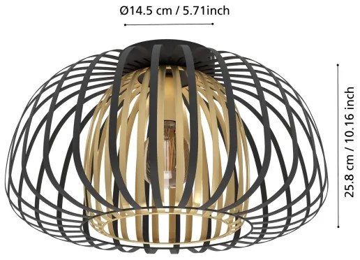 Eglo 99664 - Stropné svietidlo ENCINITOS 1xE27/40W/230V