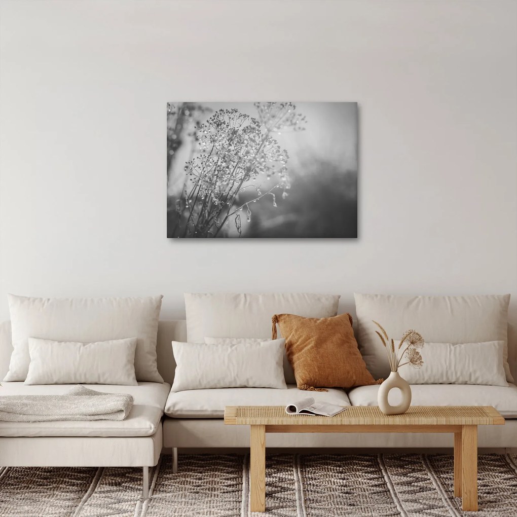 Obraz - Lúka po daždi (70x50 cm)