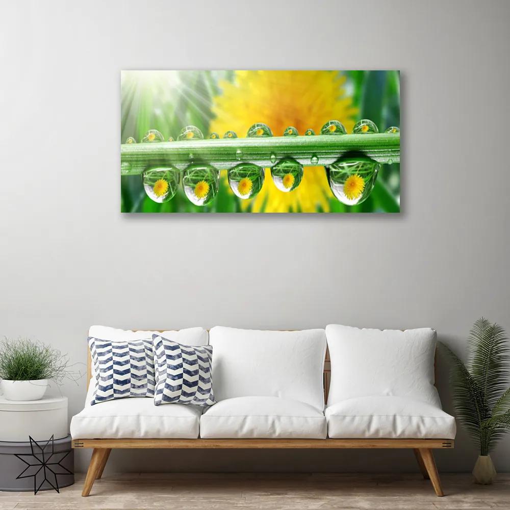 Obraz Canvas Stonka kvapky rosa rastlina 120x60 cm