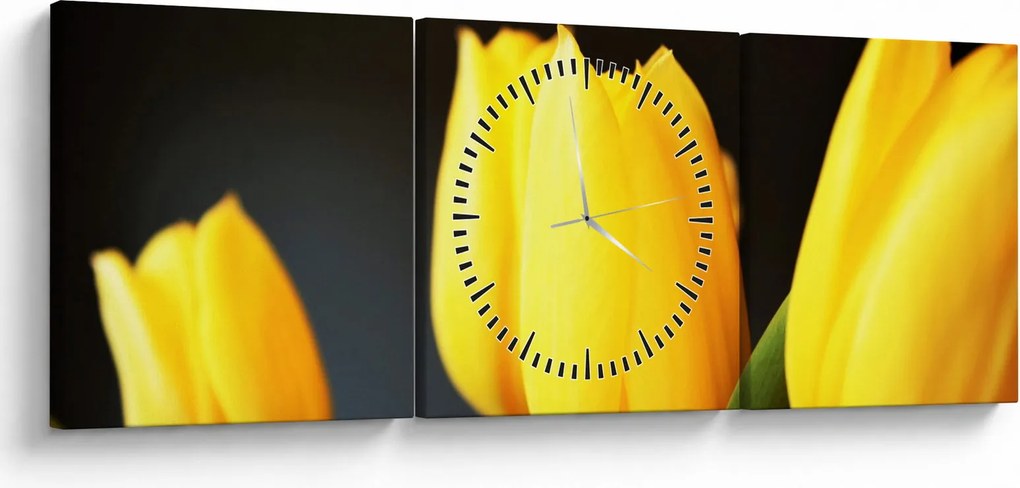 Obraz tulipánov (s hodinami) (90x30 cm)