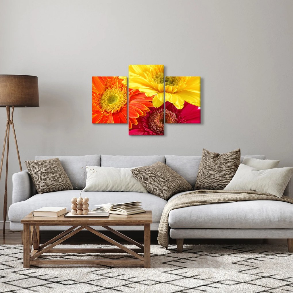 Obraz - Kvety Gerbery (90x60 cm)