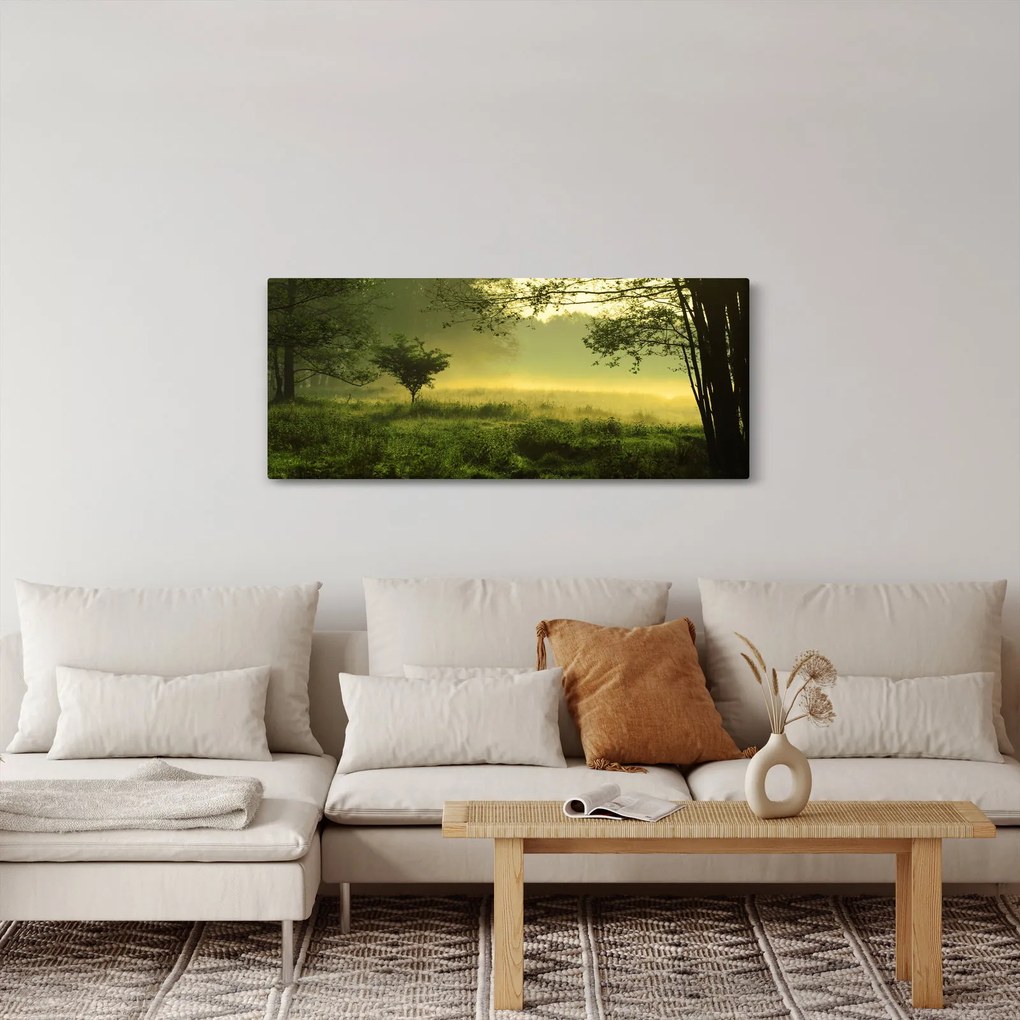 Obraz - Prebúdzajúci sa les (120x50 cm)