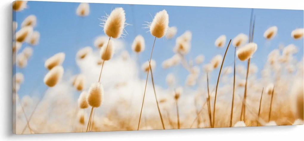 Obraz - Zlaté pole (120x50 cm)