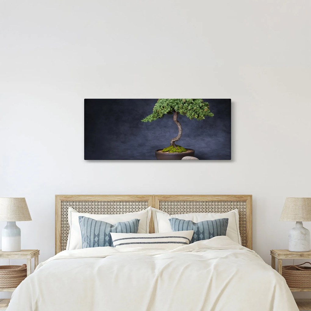 Obraz - Bonsai (120x50 cm)