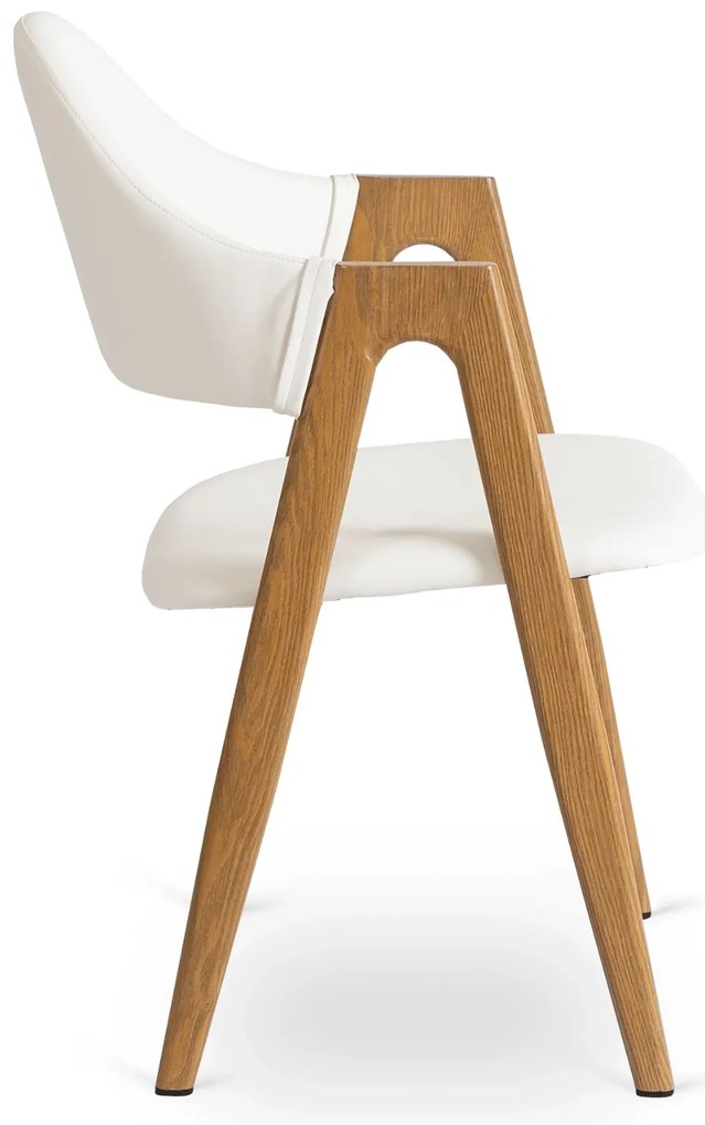 PROXIMA.store - Čalúnená jedálenska stolička WILLY FARBA: čierna