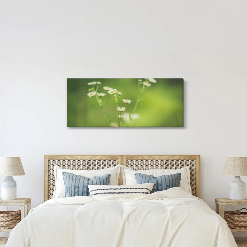 Obraz Sedmokrásky (120x50 cm)