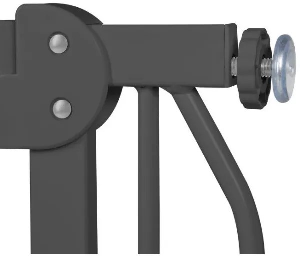 Lionelo - Bezpečnostná zábrana TRUUS SLIM čierna/béžová