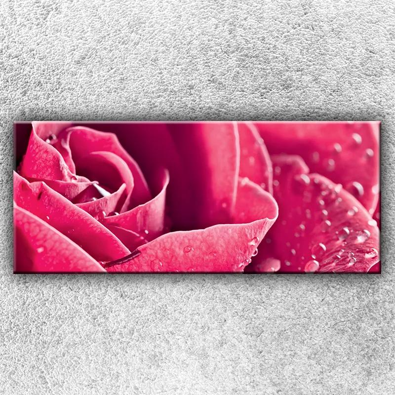 Foto na plátno Ružová ruža 2 120x50 cm