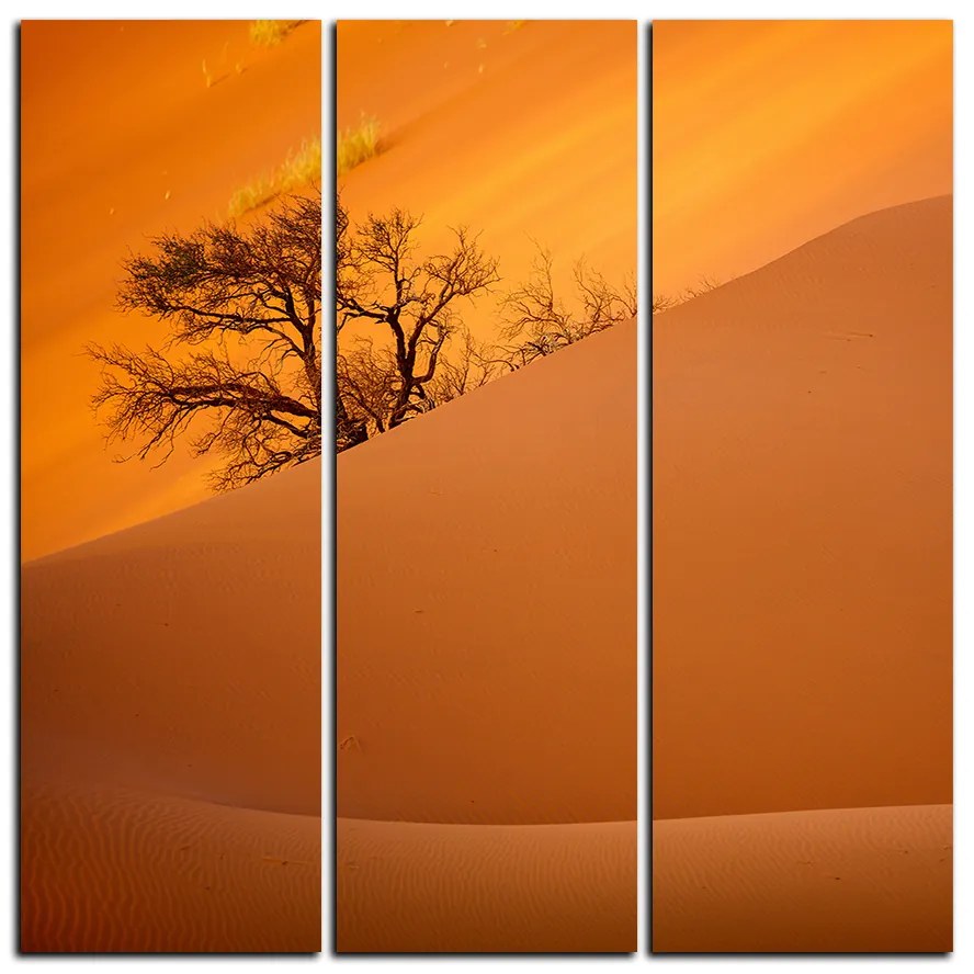 Obraz na plátne - Červené piesočné duny - štvorec 3133B (105x105 cm)