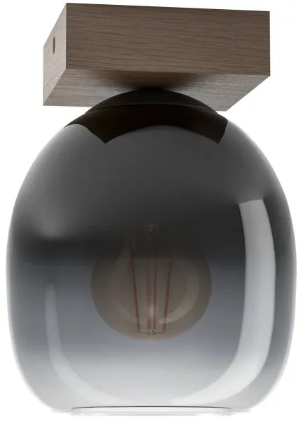 Eglo 900825 - Stropné svietidlo FILAGO 1xE27/40W/230V