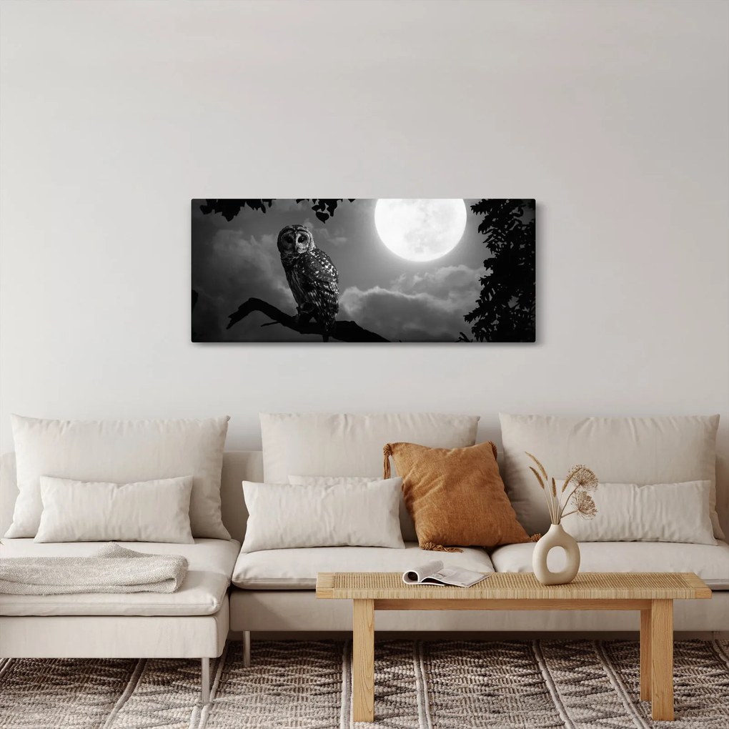 Obraz - Nočná sova, čiernobiela (120x50 cm)