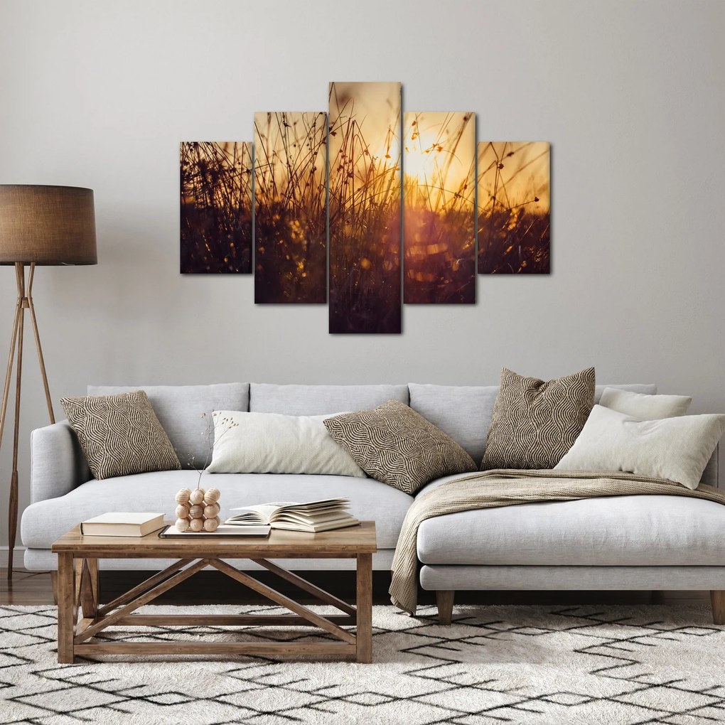 Obraz poľa pri západe slnka (150x105 cm)