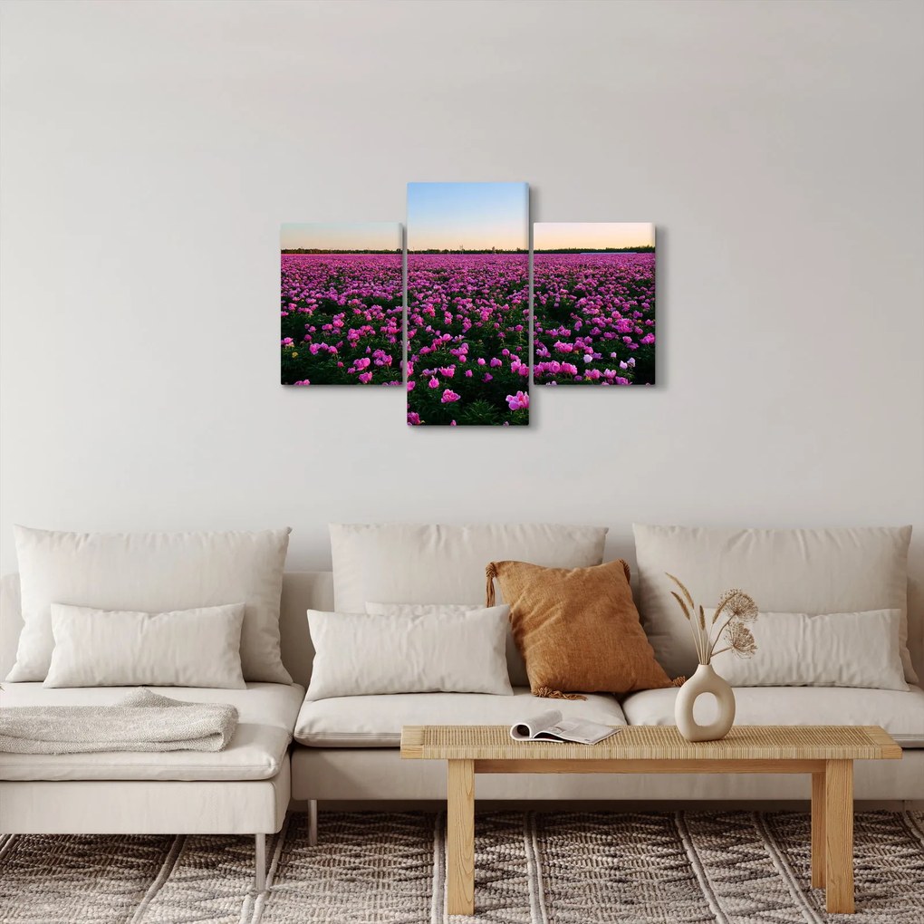 Obraz - Lúka fialových tulipánov (90x60 cm)