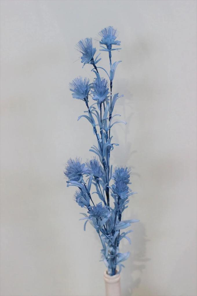 Modrá penová tráva s kvetmi 80cm