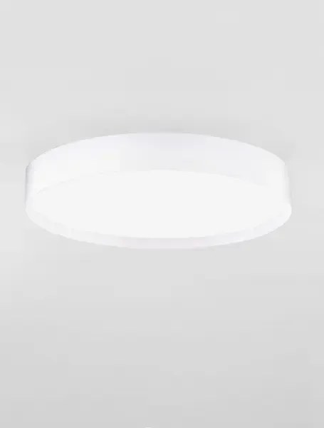 LED stmievateľné biele moderné stropné svietidlo Roi 40