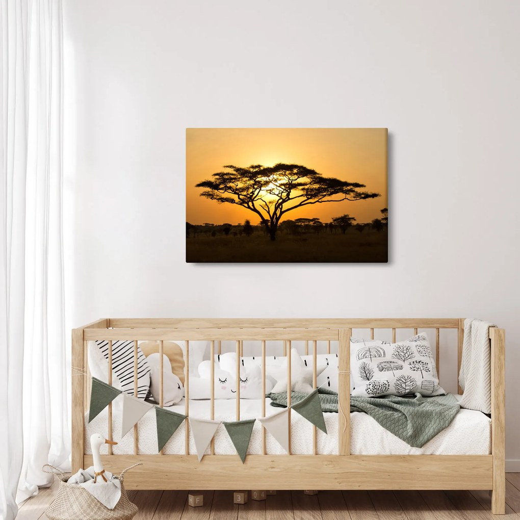 Obraz - Africká savana (90x60 cm)