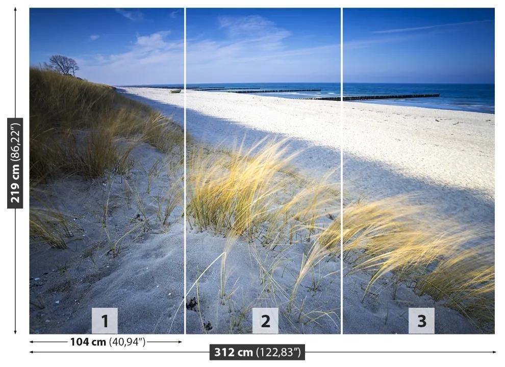 Fototapeta Vliesová Morská pláž 250x104 cm