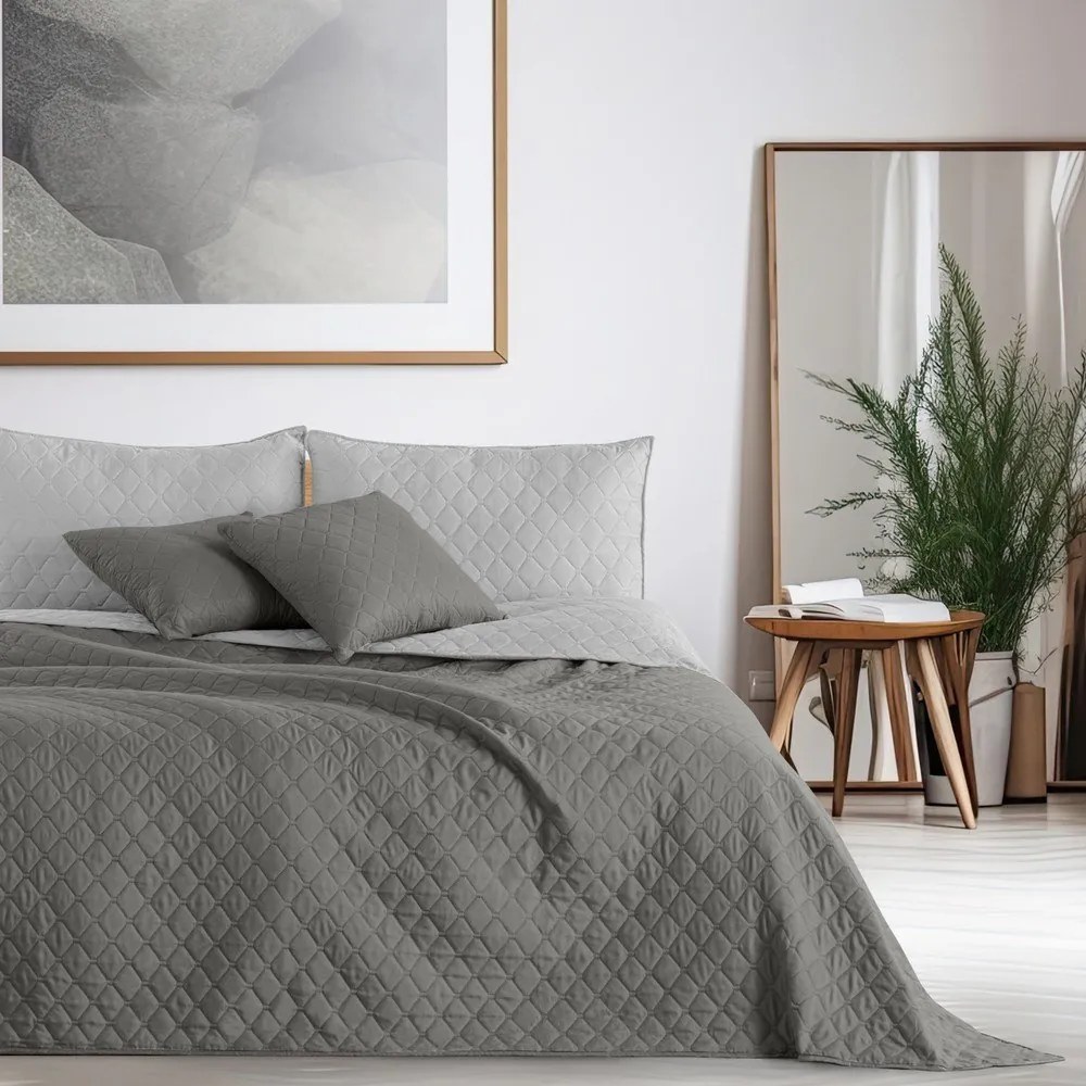 Sivý obojstranný pléd z mikrovlákna DecoKing Axel, 260 × 280 cm