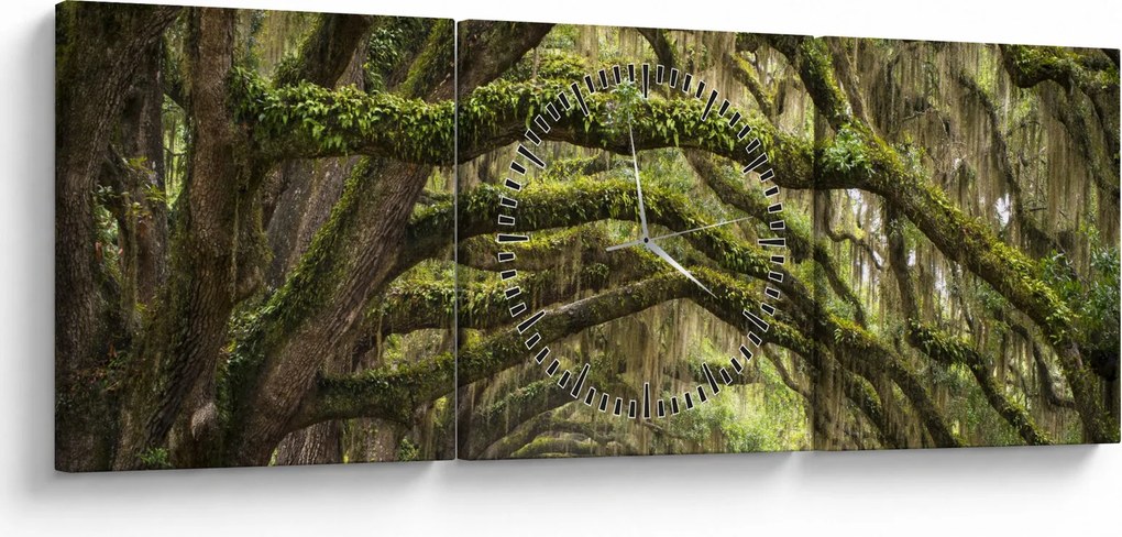 Obraz - Oaks Avenue, Charleston, Južná Karolína, USA (s hodinami) (90x30 cm)