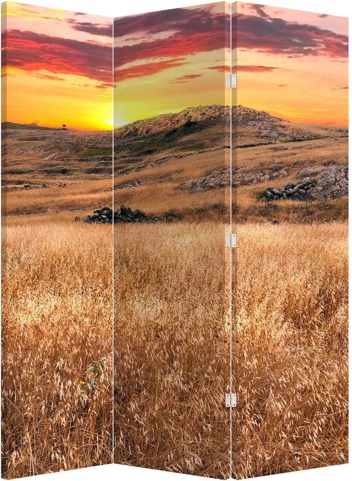 Paraván - Pole (126x170 cm)