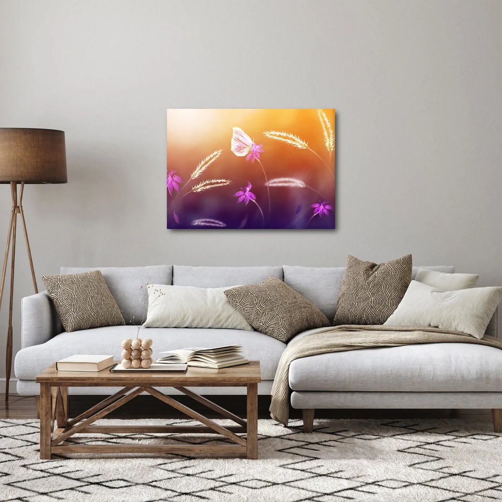 Obraz - Ružový motýľ (70x50 cm)