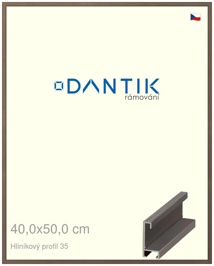 DANTIK rám na obraz 40x50 | ALU Hnědá tmavá (Plexi Čiré)