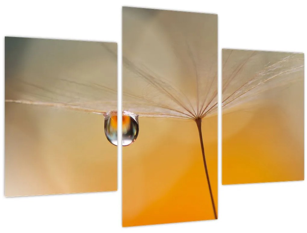 Obraz - Makro kvetu (90x60 cm)