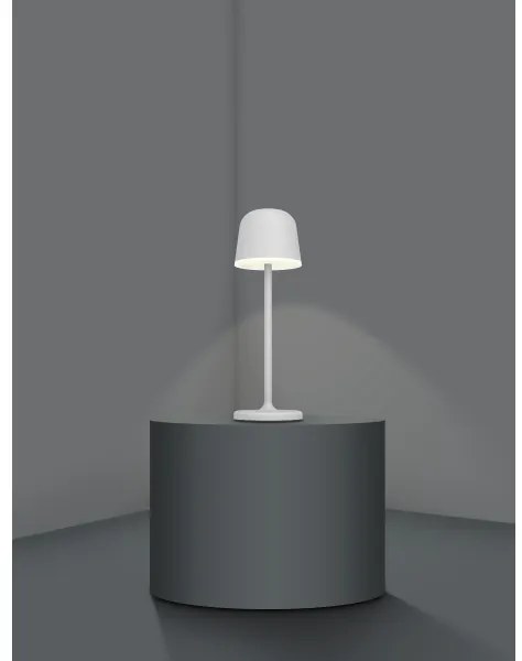 Eglo 900458- LED stmievateľná vonkajšia lampa MANNERA 2,2W/5V 1800 mAh IP54