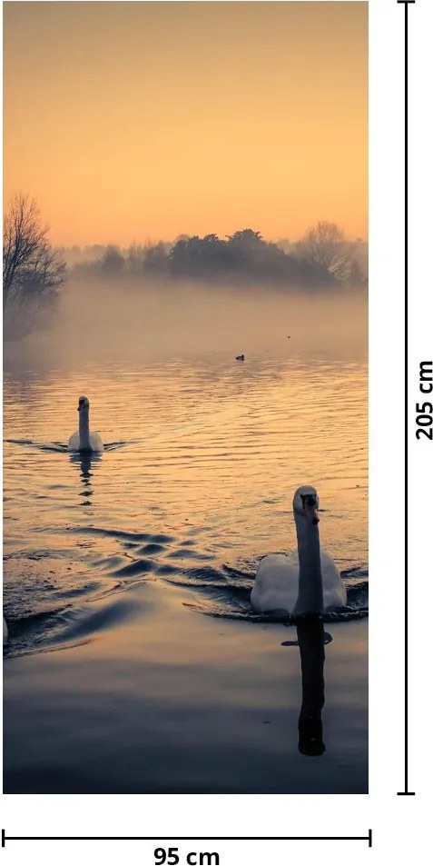 Fototapeta na dvere - Labute na vode v hmle (95x205cm)