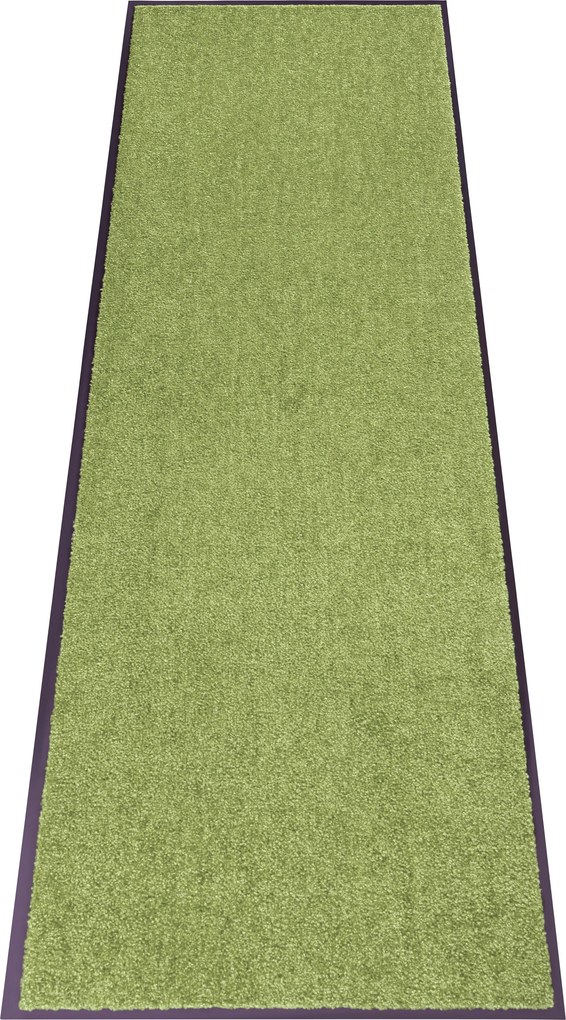 Hanse Home, Rohožka Wash & Clean 101470 Green, 60x180, zelená, chodba / predsieň