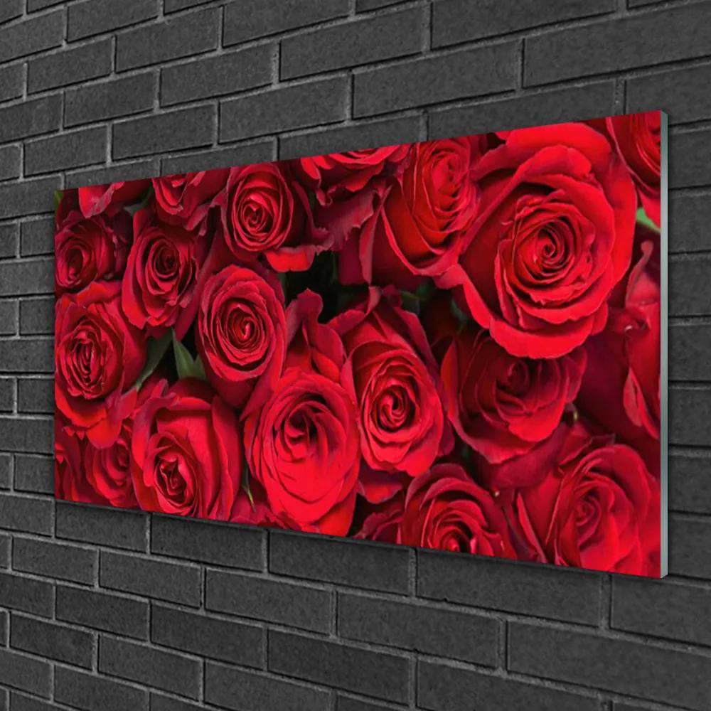 Skleneny obraz Červené ruže kvety príroda 100x50 cm