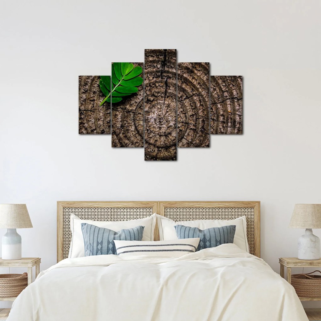 Obraz listu na kmeni stromu (150x105 cm)