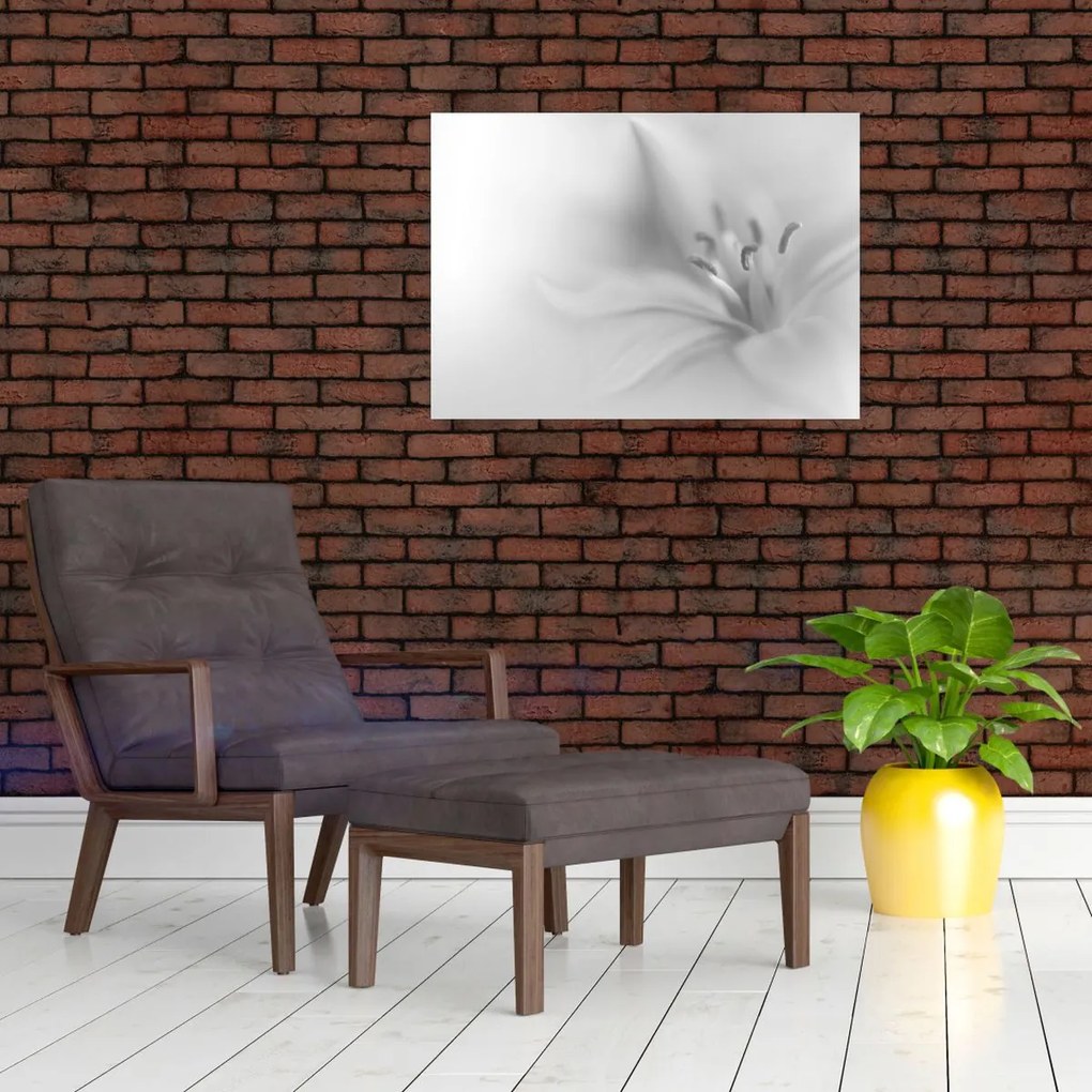 Sklenený obraz - Jemná ľalia (70x50 cm)
