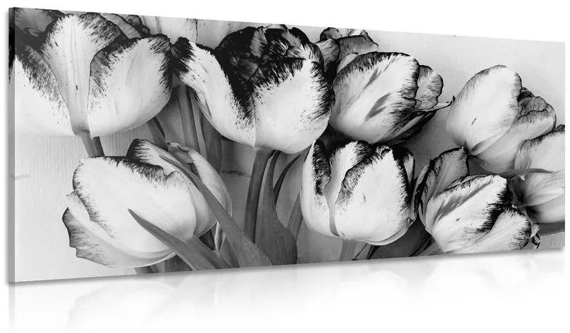 Obraz tulipány v jarnom nádychu v čiernobielom prevedení - 120x60