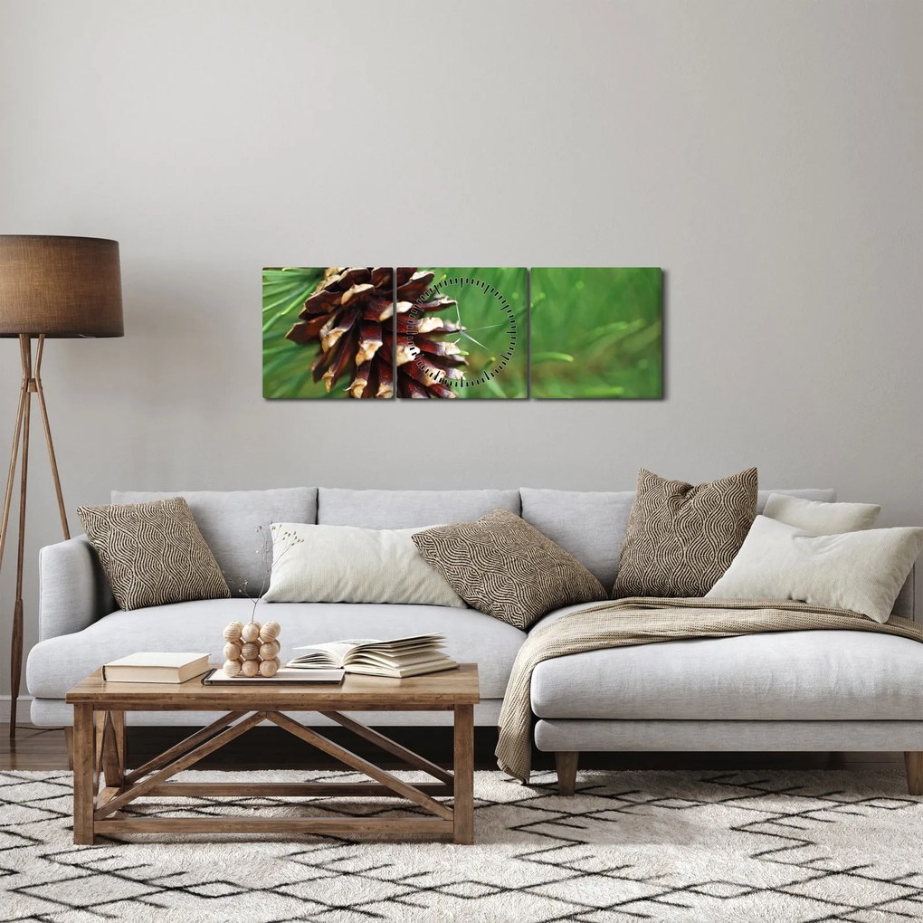 Obraz šišky (s hodinami) (90x30 cm)