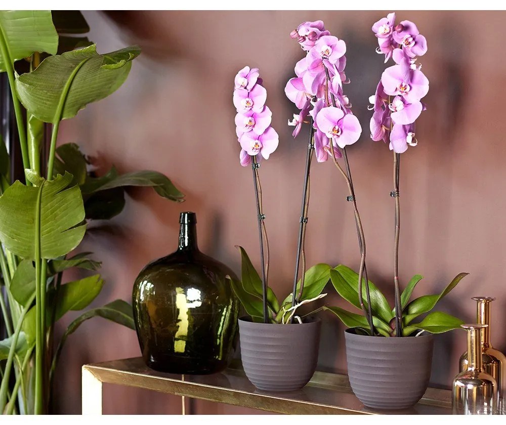 Kvetináč z recyklovaného plastu ø 20 cm Havana – Artevasi