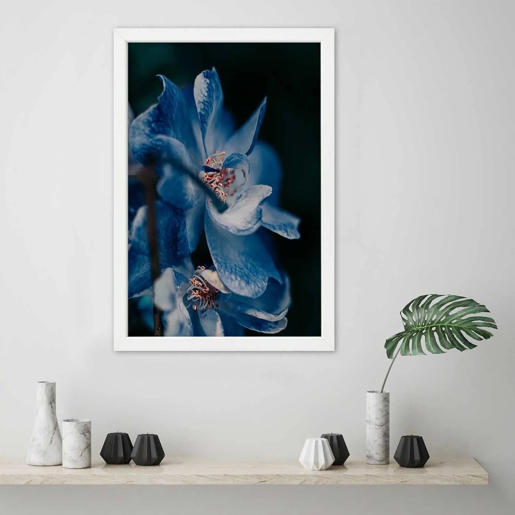 Gario Plagát Detailný záber na modrý kvet Farba rámu: Bez rámu, Rozmery: 40 x 60 cm