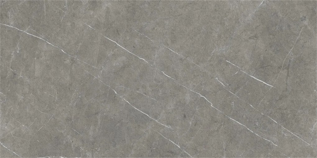 Dlažba Eternal Dark Natural 60x120 R