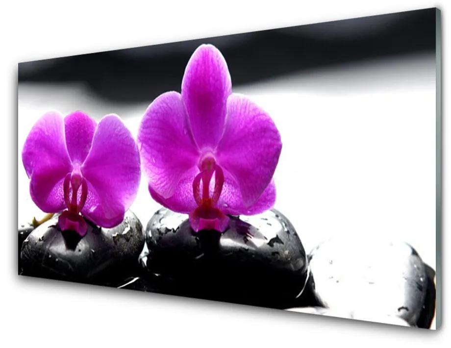 Obraz plexi Kvety kamene zen kúpele 125x50 cm