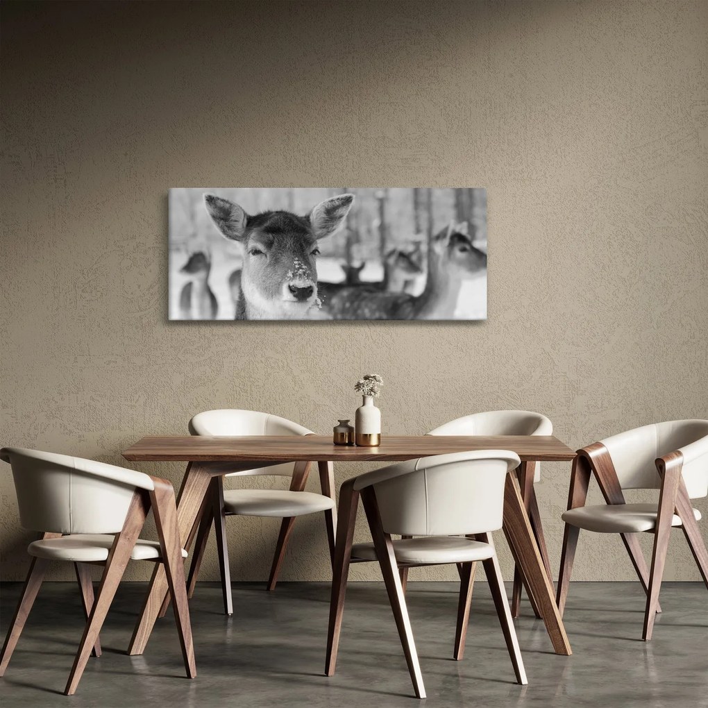 Obraz - Jelenča, čiernobiela (120x50 cm)