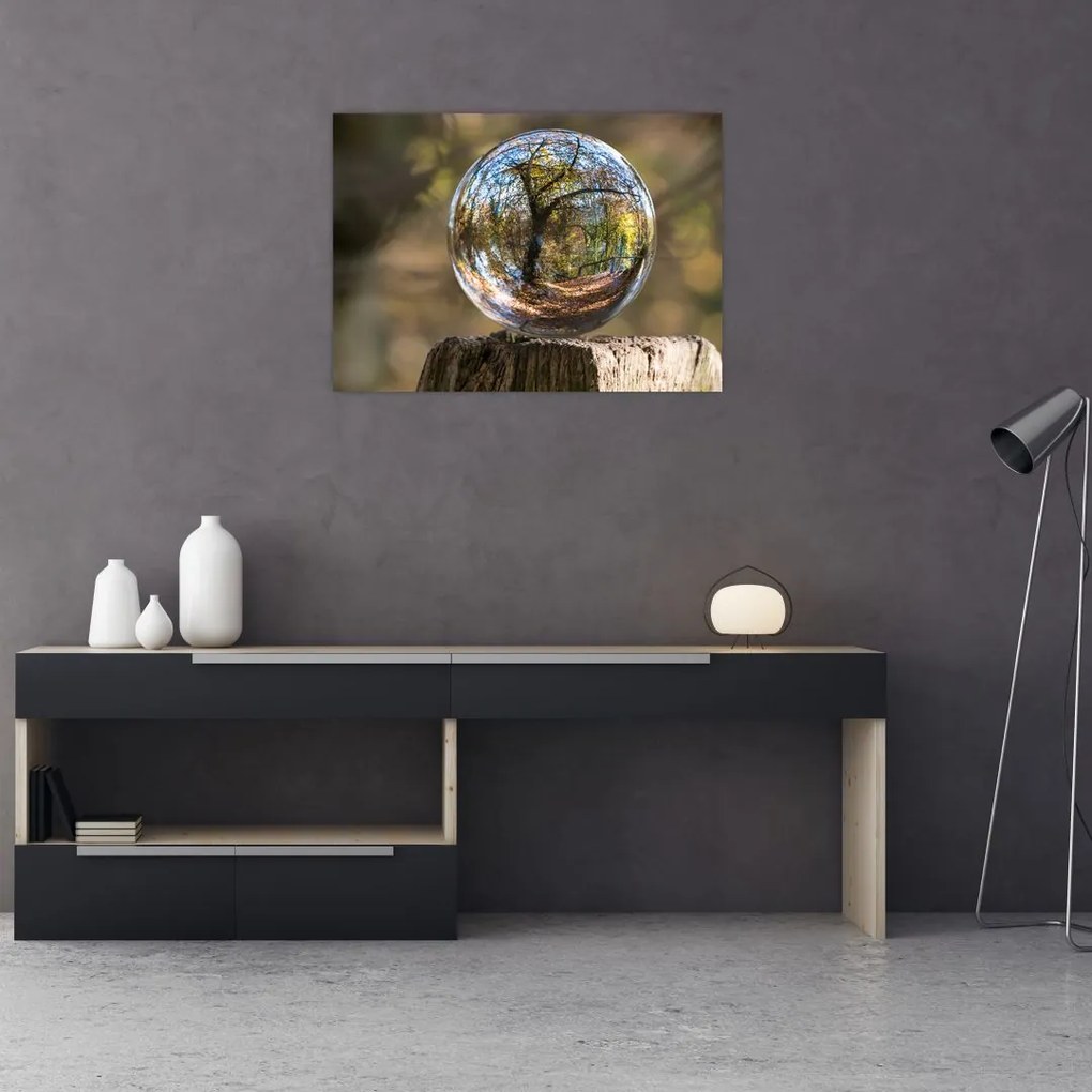 Sklenený obraz - Odraz v sklenenej guli (70x50 cm)