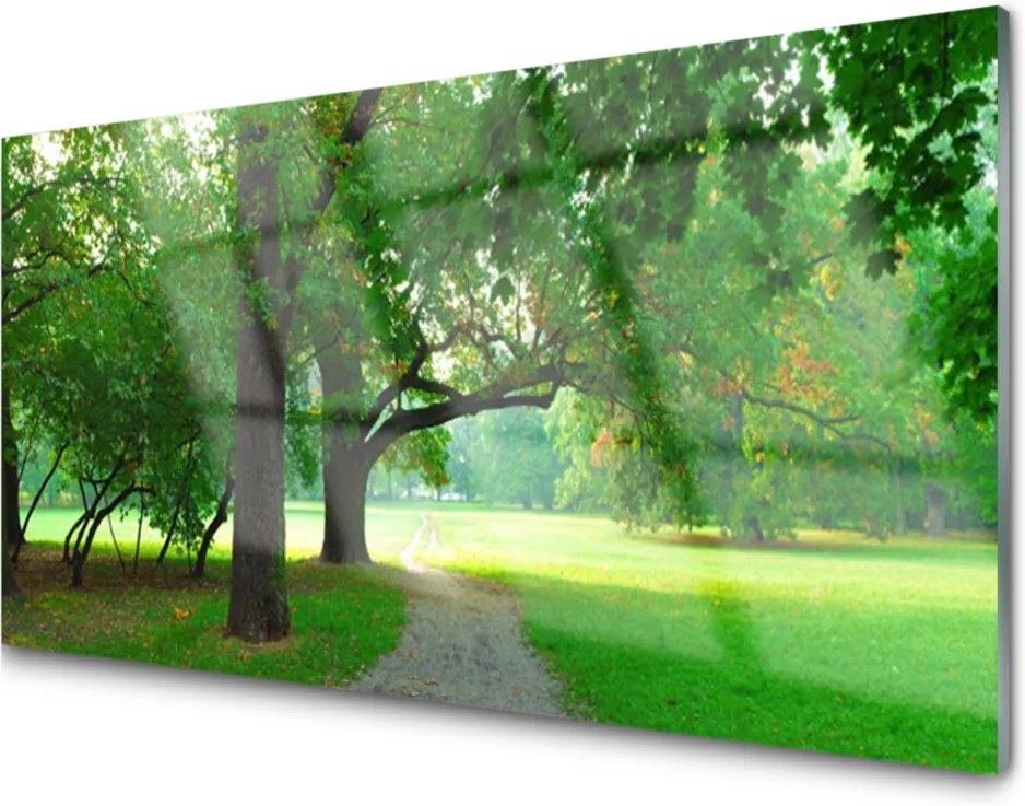 Obraz plexi Chodník stromy príroda