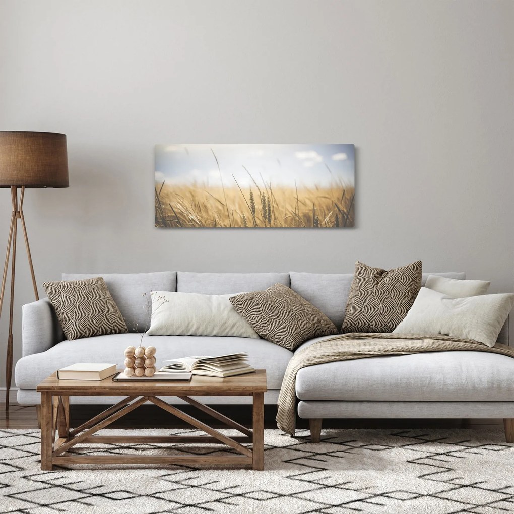 Obraz obilia (120x50 cm)