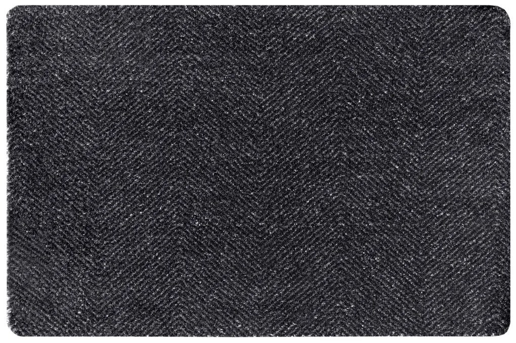 Hanse Home Collection koberce Rohožka Clean & Go 105350 Black Anthracite – na von aj na doma - 45x67 cm