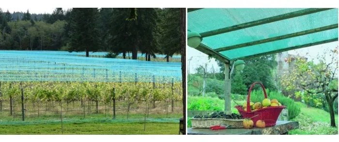 JAKS TIENIACA SIEŤ ZELENÁ 1,5 M x 25 M, 90% TIEŇA