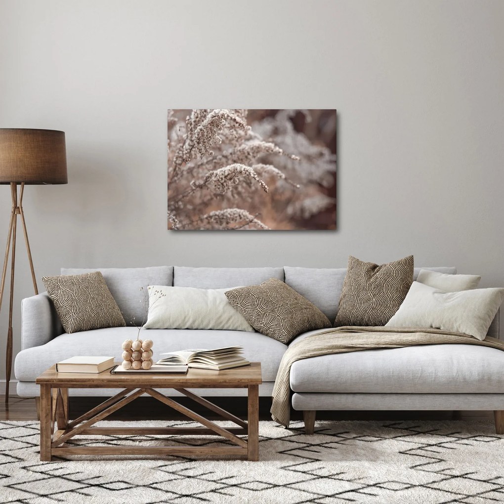Obraz rastlín (70x50 cm)