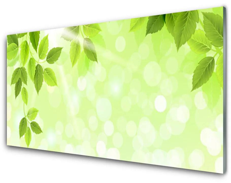 Skleneny obraz Listy príroda rastlina 140x70cm