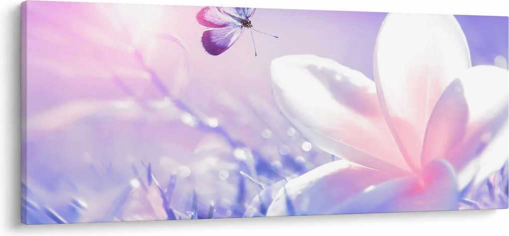 Obraz - Motýľ prilietajúci na kvet (120x50 cm)