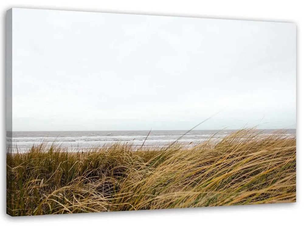 Gario Obraz na plátne Tráva na pobreží mora Rozmery: 60 x 40 cm